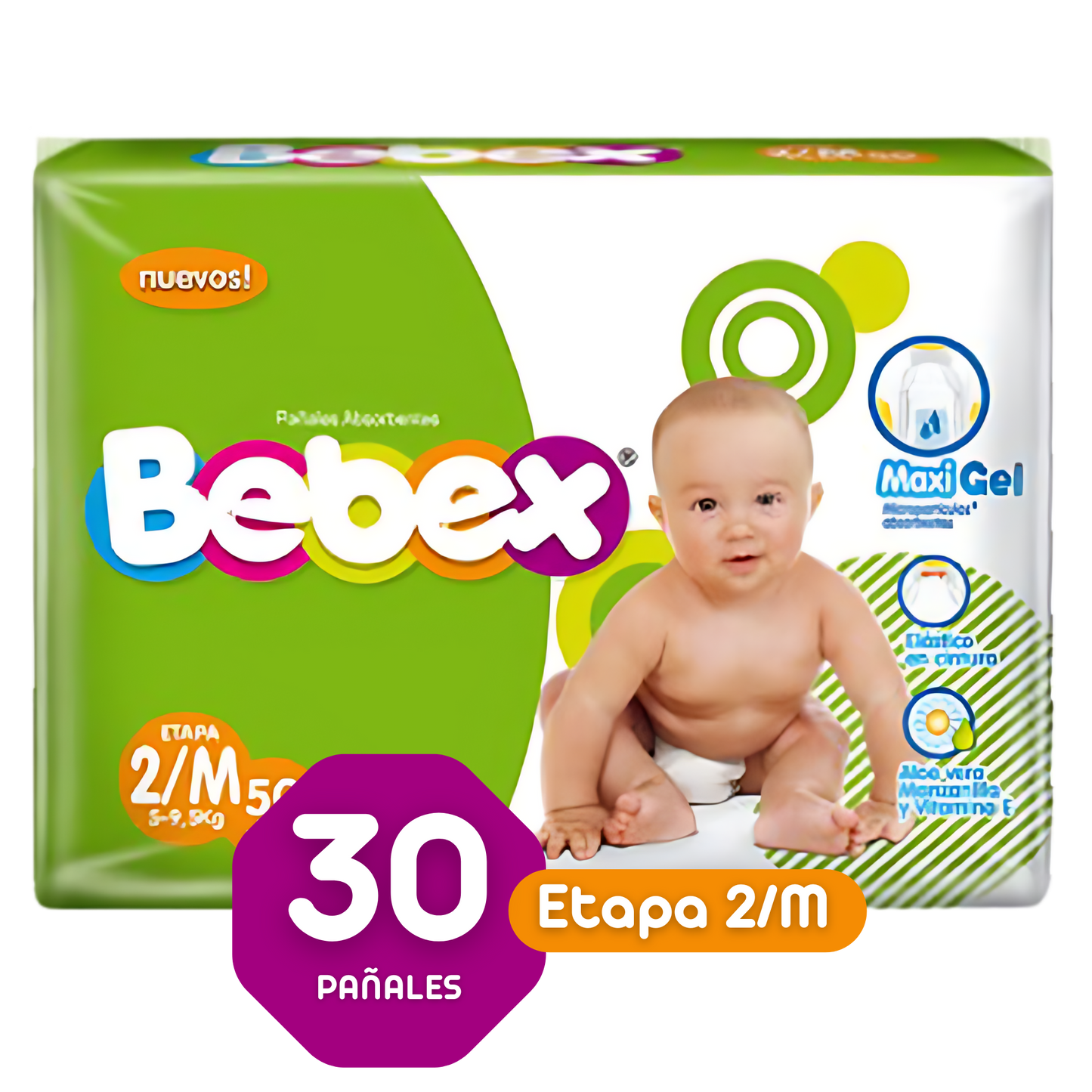 BEBEX ETAPA 2/M