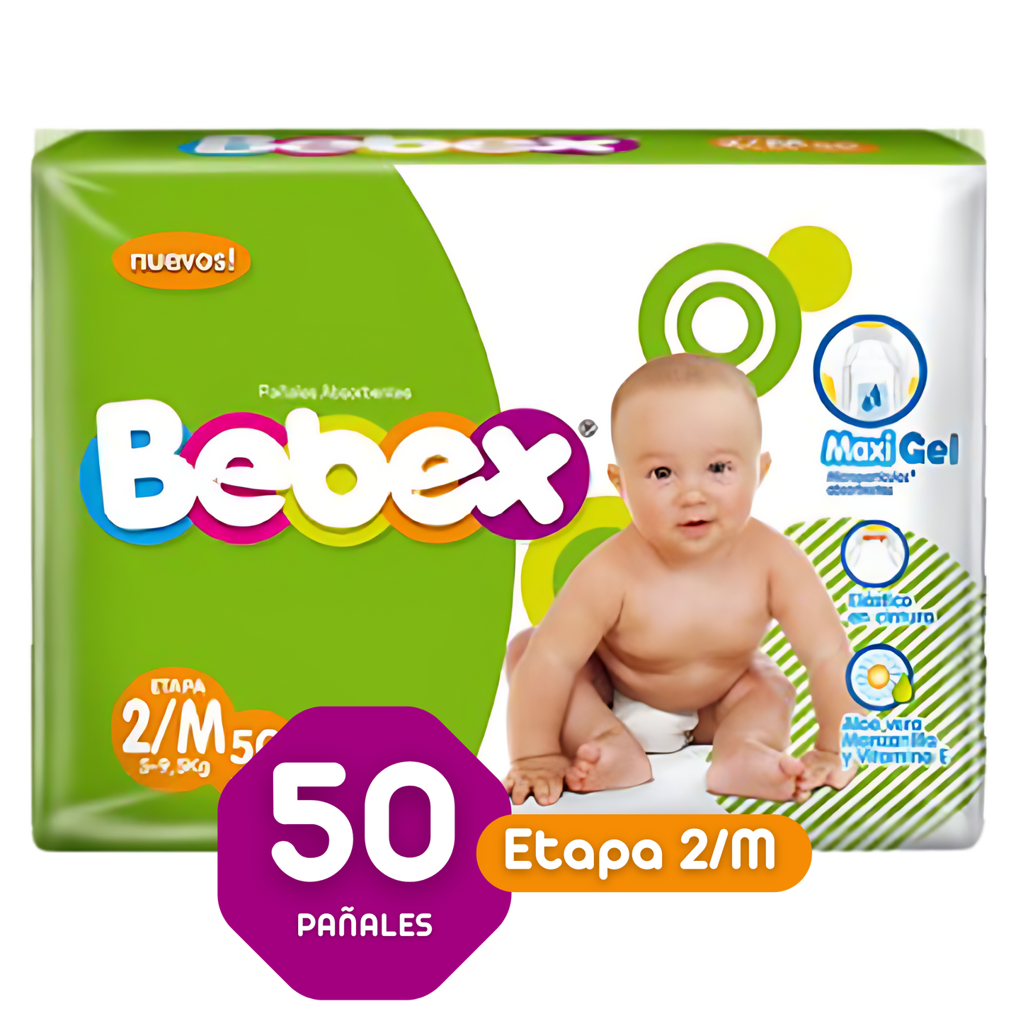 BEBEX ETAPA 2/M